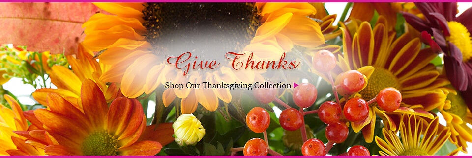 Thanksgiving Banner